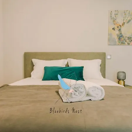 Apartamento The Bluebirds Nest By Tonsdeverde *