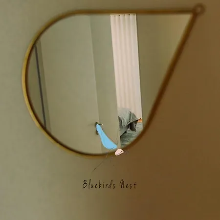 The Bluebirds Nest By Tonsdeverde Braga