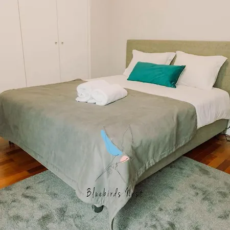 Апартаменты The Bluebirds Nest By Tonsdeverde Брага