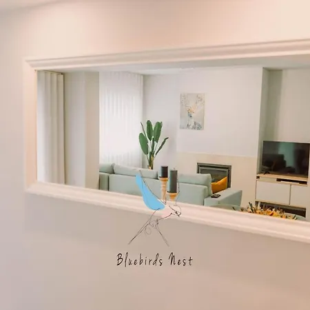 The Bluebirds Nest By Tonsdeverde