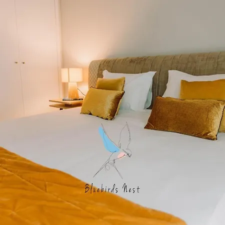 The Bluebirds Nest By Tonsdeverde Apartamento *