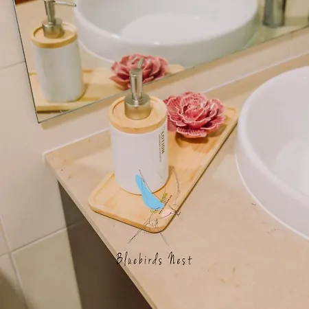 Lejlighed The Bluebirds Nest By Tonsdeverde Braga