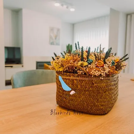 The Bluebirds Nest By Tonsdeverde Апартаменты *