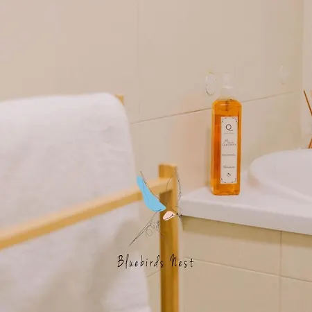 The Bluebirds Nest By Tonsdeverde *