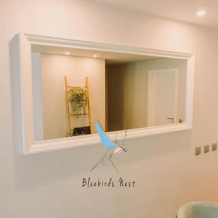 Апартаменты The Bluebirds Nest By Tonsdeverde Брага