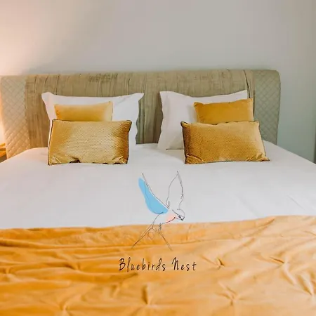 The Bluebirds Nest By Tonsdeverde Lejlighed Braga