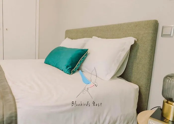 The Bluebirds Nest By Tonsdeverde Apartamento Braga