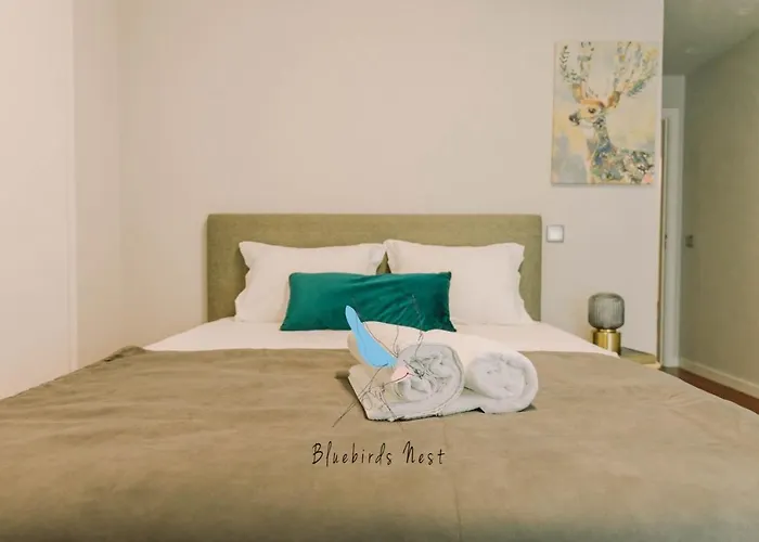 Apartamento The Bluebirds Nest By Tonsdeverde *