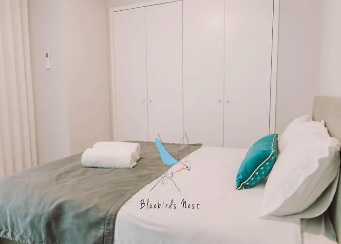 The Bluebirds Nest By Tonsdeverde *