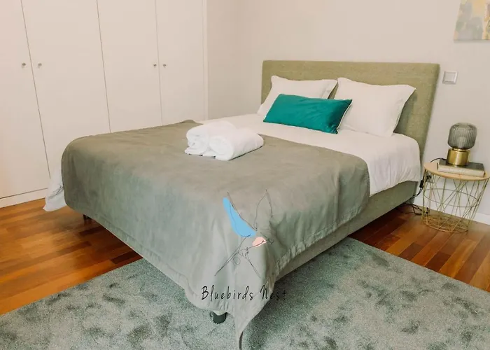 Apartamento The Bluebirds Nest By Tonsdeverde Braga