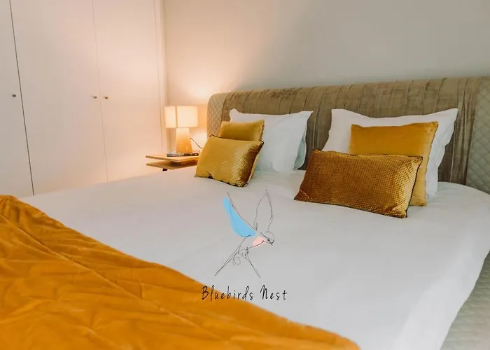 The Bluebirds Nest By Tonsdeverde Apartamento *