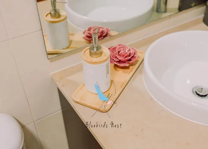 Apartamento The Bluebirds Nest By Tonsdeverde Braga