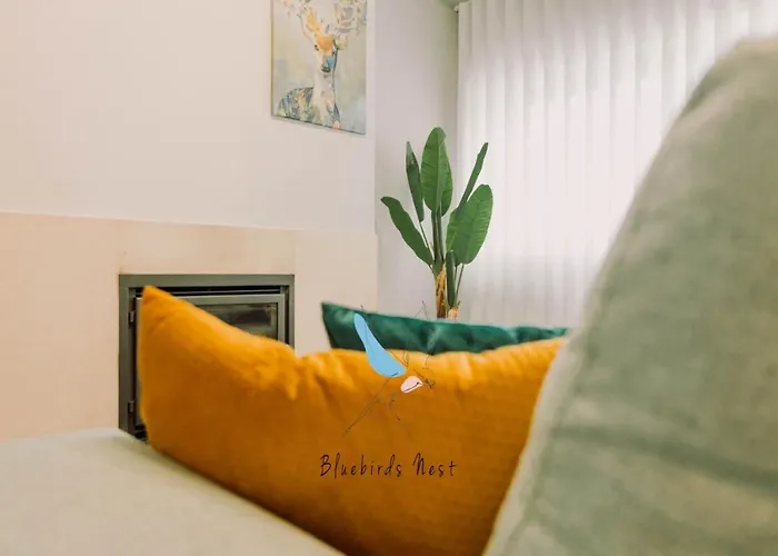 The Bluebirds Nest By Tonsdeverde