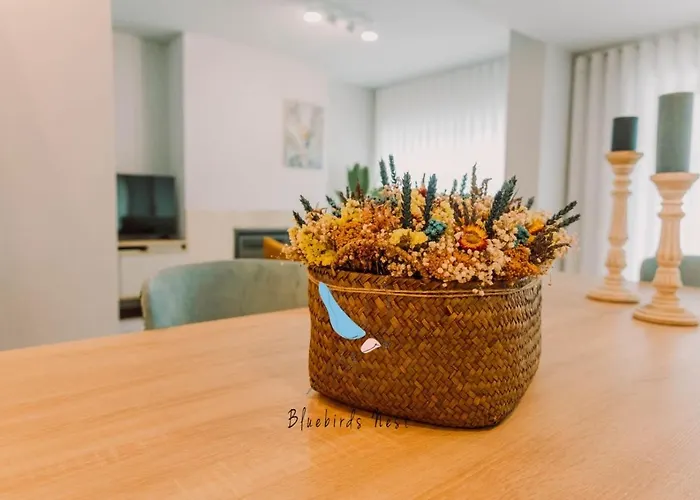 The Bluebirds Nest By Tonsdeverde Apartamento *