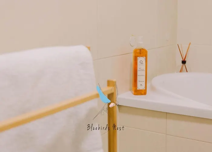 The Bluebirds Nest By Tonsdeverde *