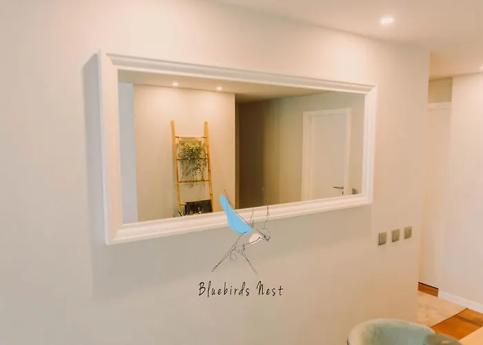 Apartamento The Bluebirds Nest By Tonsdeverde Braga