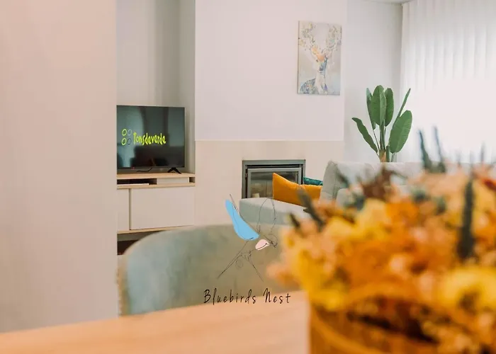 The Bluebirds Nest By Tonsdeverde * Μπράγκα