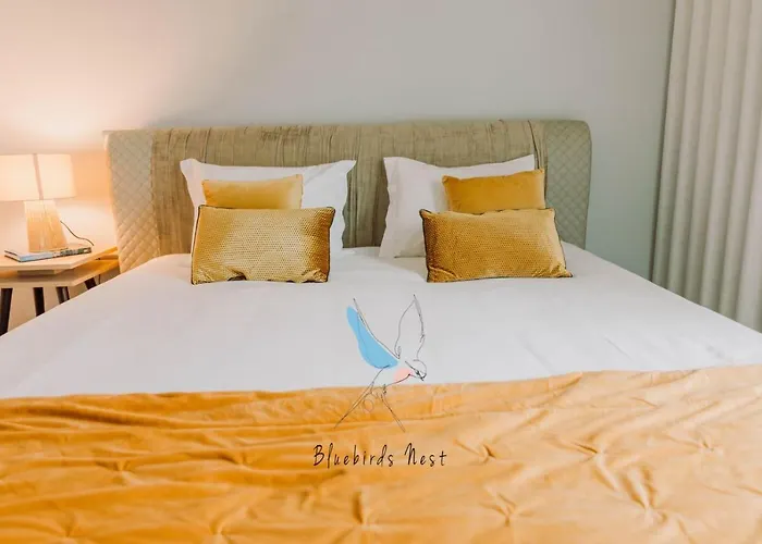 The Bluebirds Nest By Tonsdeverde Apartamento Braga
